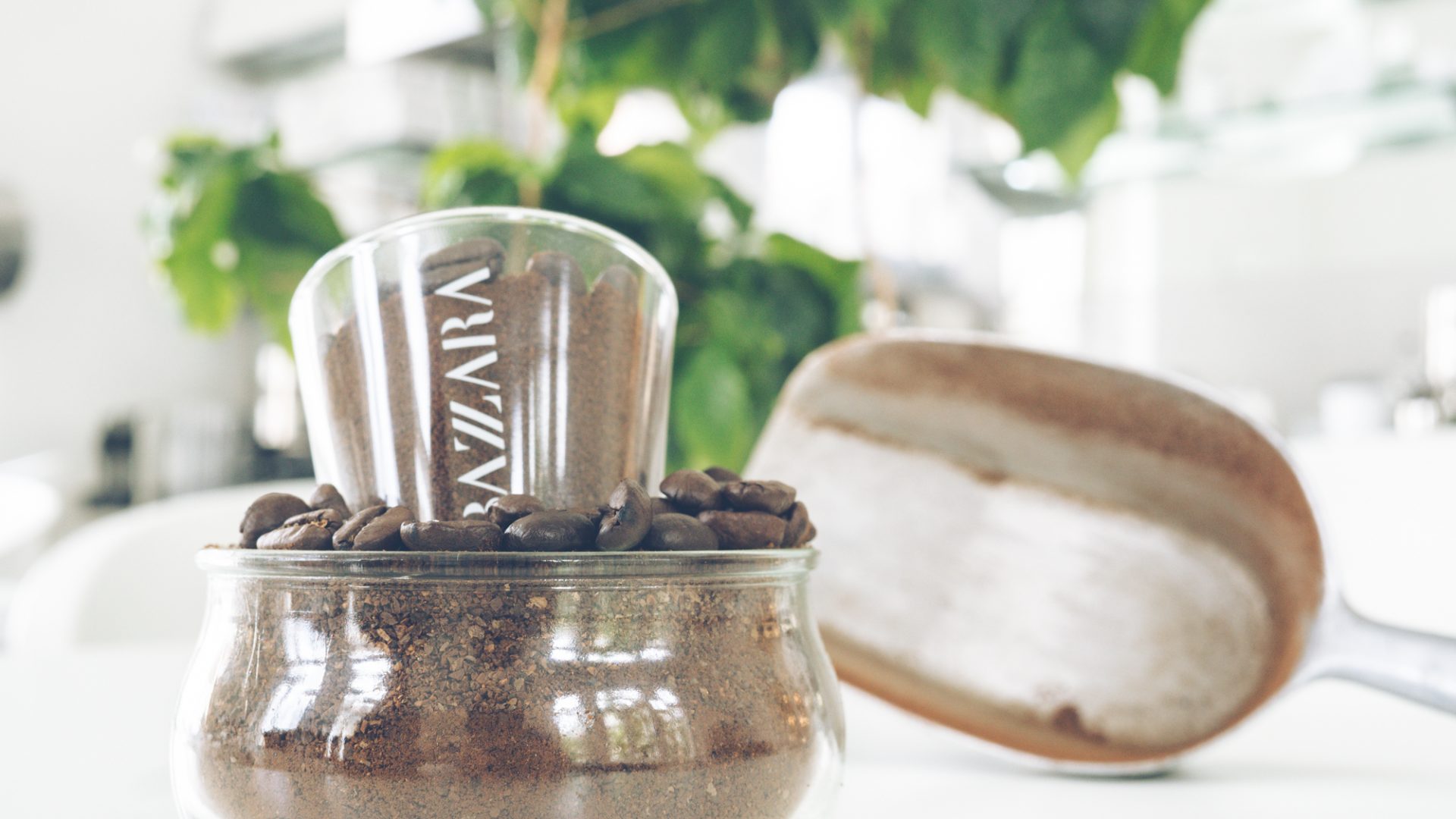 Can coffee oil replace palm oil?